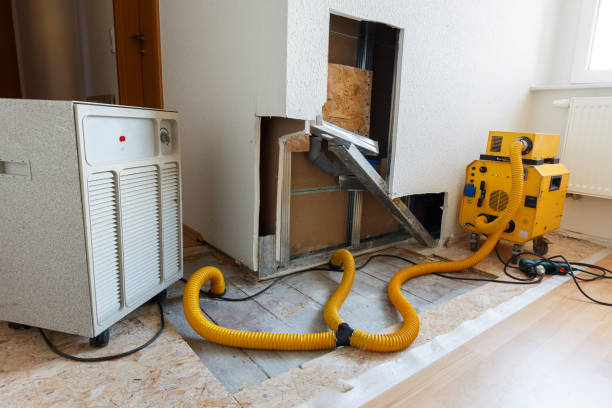 Best Real Estate Mold Inspection  in Ken Caryl, CO